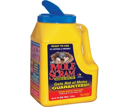 Mole Scram