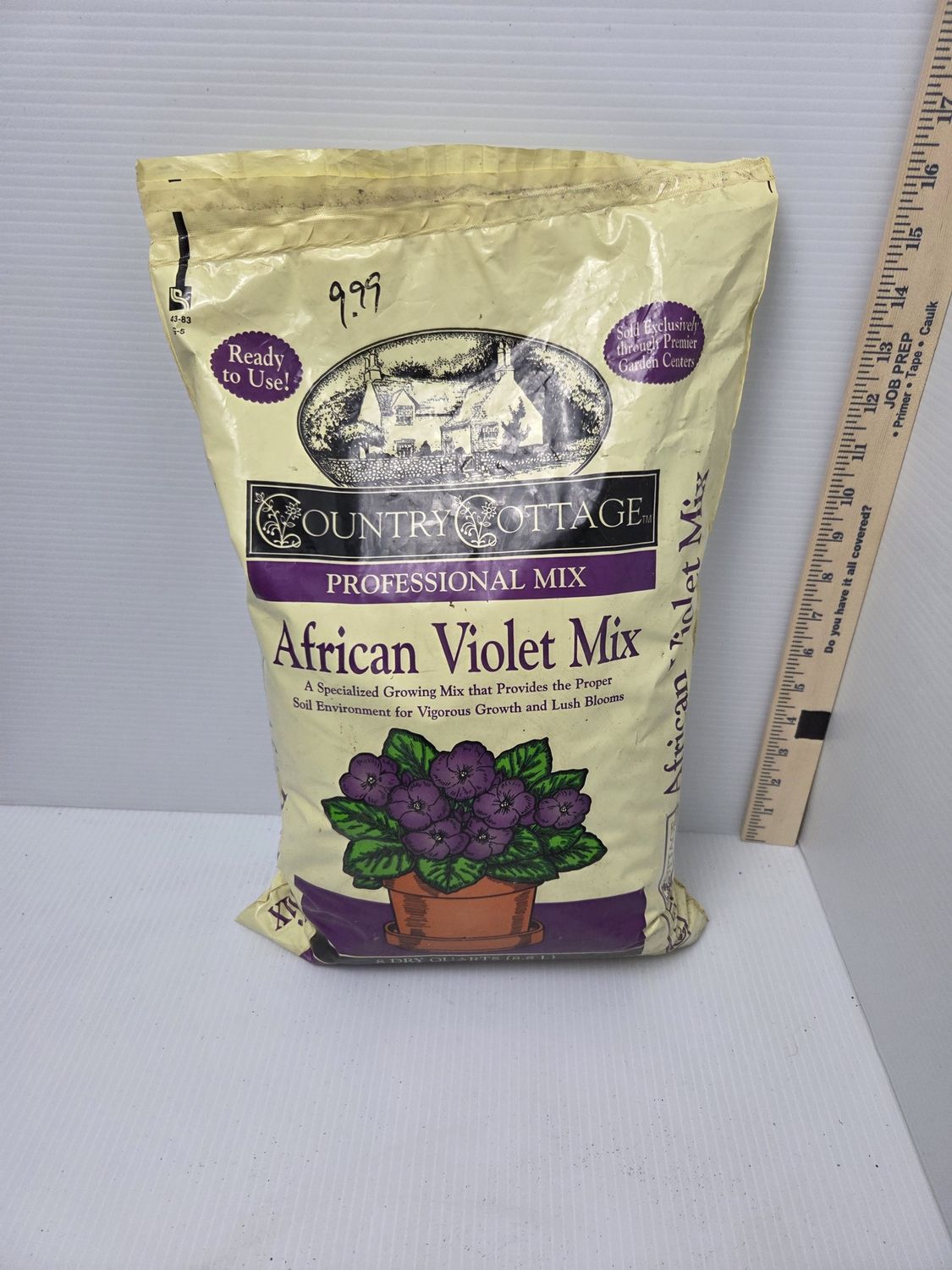 African Violet Mix