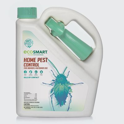 Home Pest Control