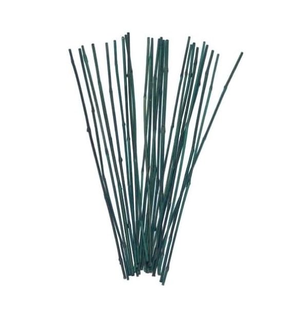 Bamboo Plant Canes, Size: 2 ft