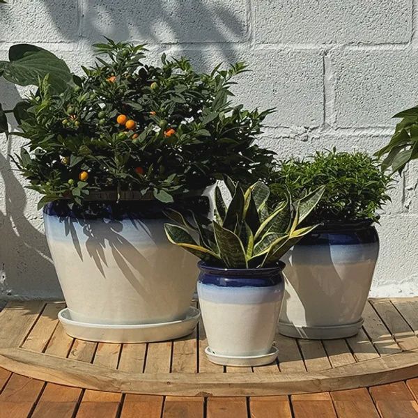Fiona Planters