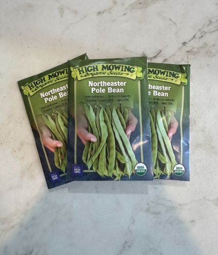 Northeaster Pole Bean