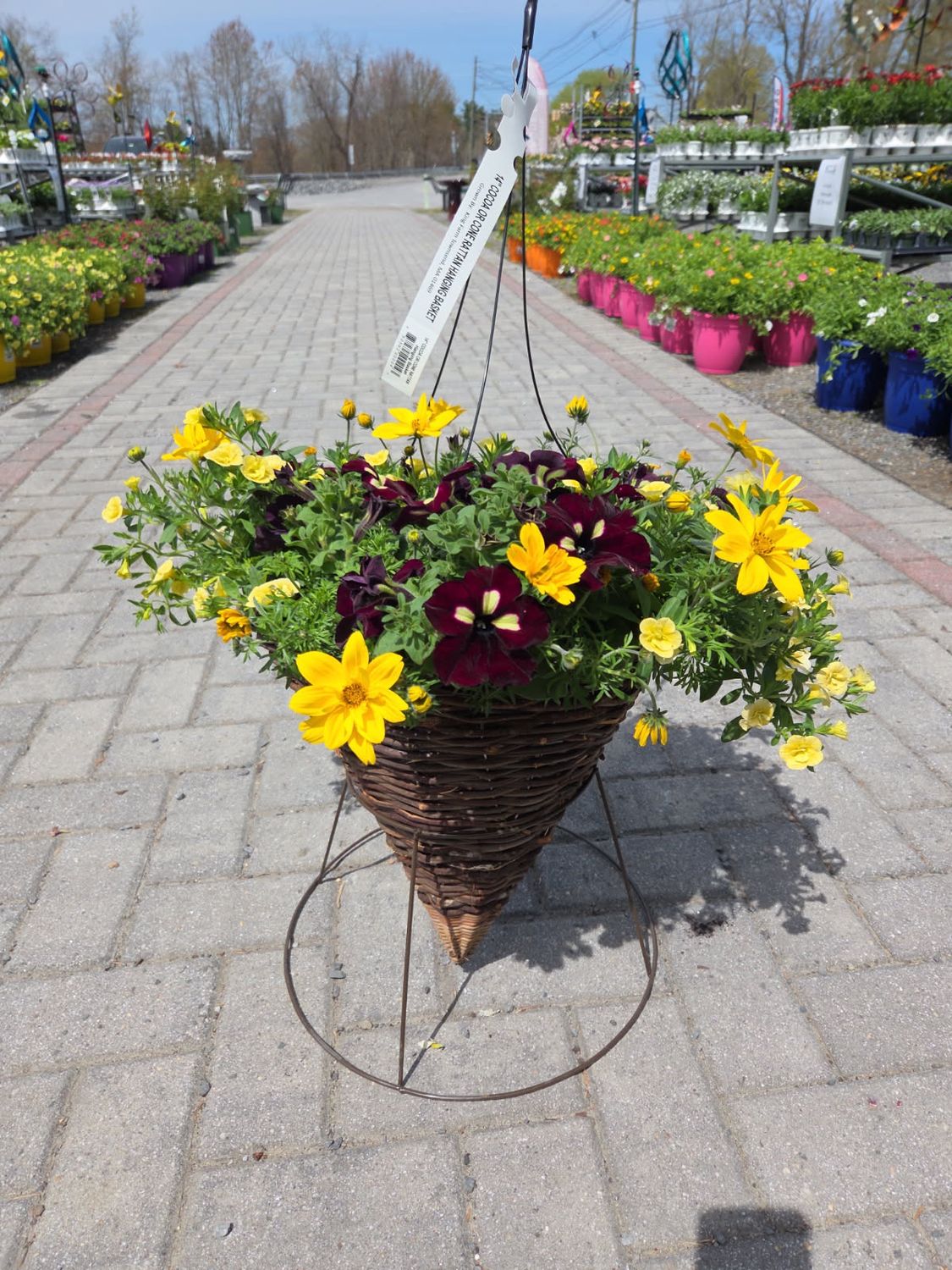 Hanging Basket Cone