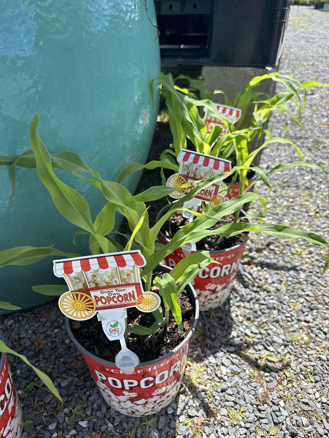 Herb Patio Planter Corn Movie Popcorn Bucket