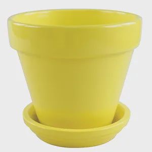 Standard Pot with Saucer