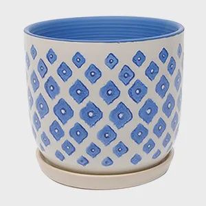 Modern Egg Pot with Saucer