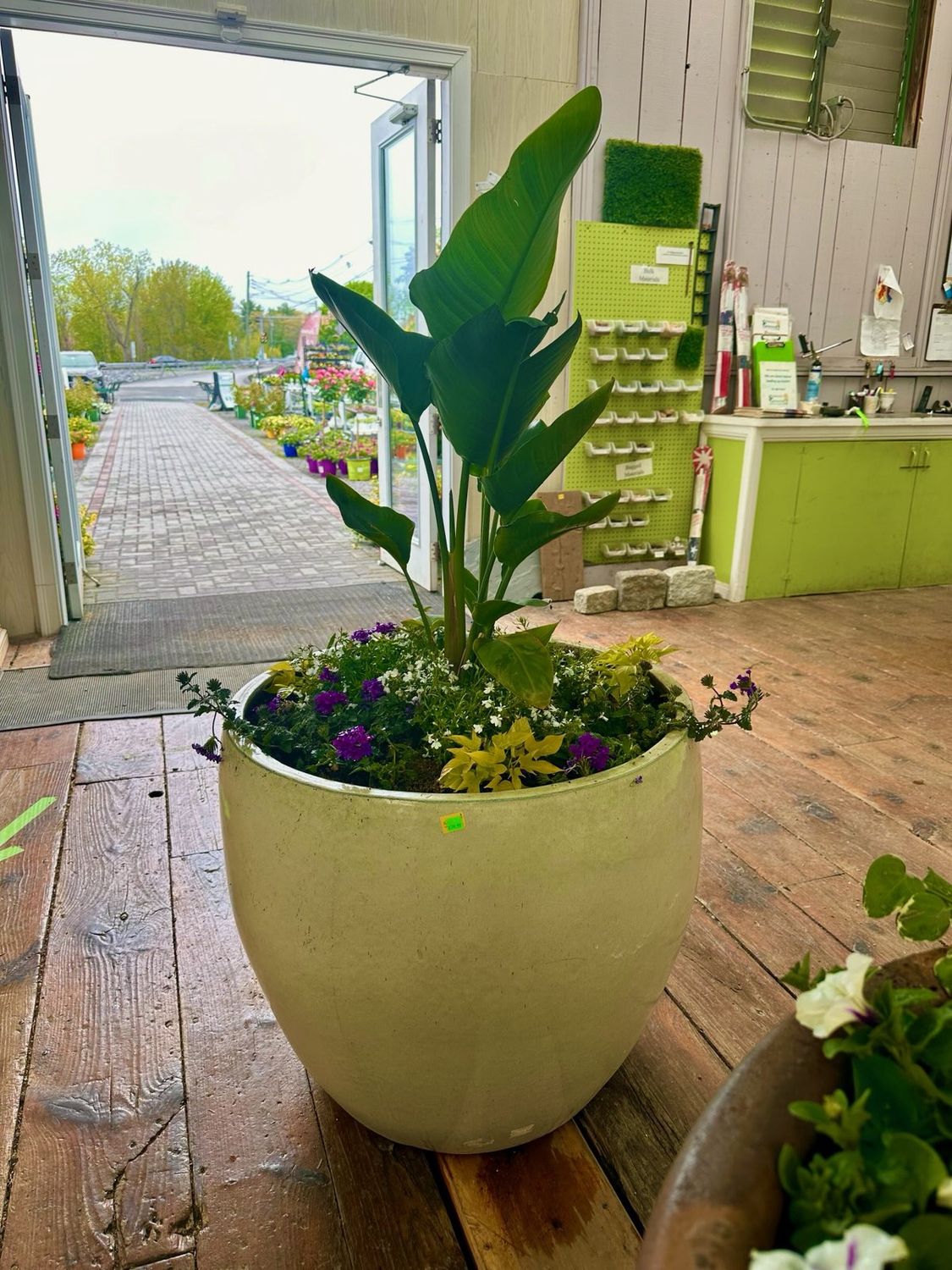 Birds of Paradise Tropical Mixed Planter