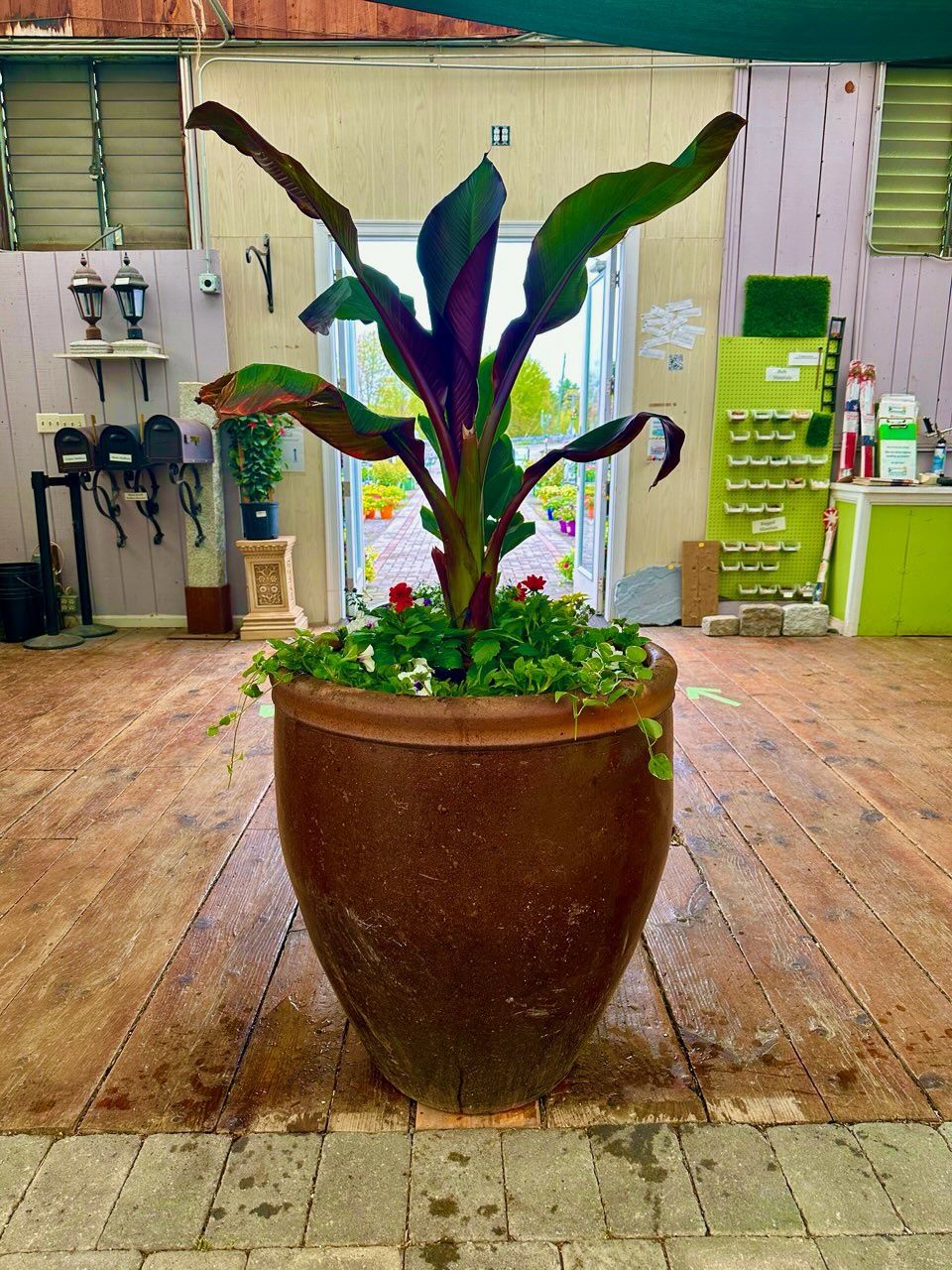 Banana Tropical Mixed Planter