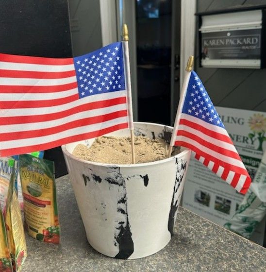 USA Flags