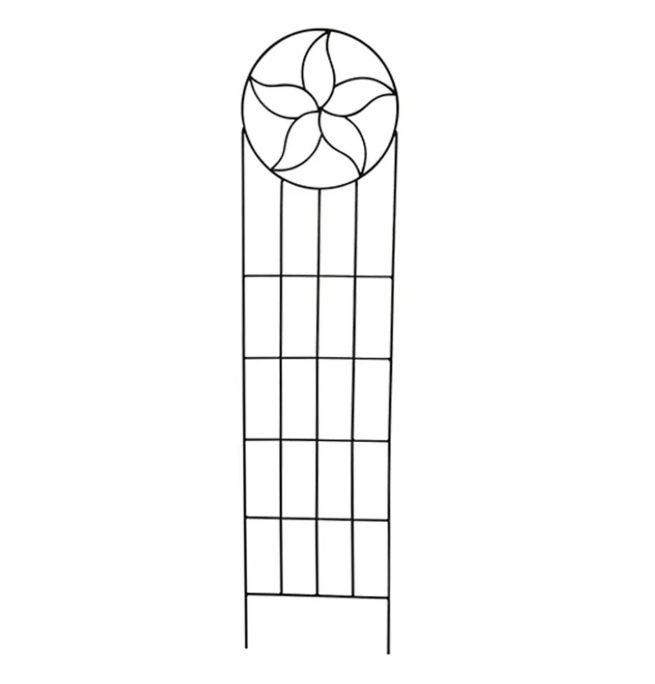 Orchid Trellis