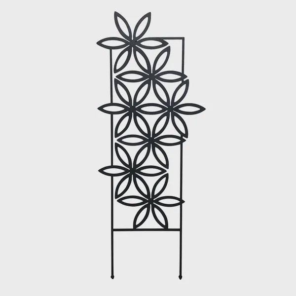 Daisy Trellis