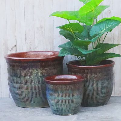 Magnolia Matchsticks Pots