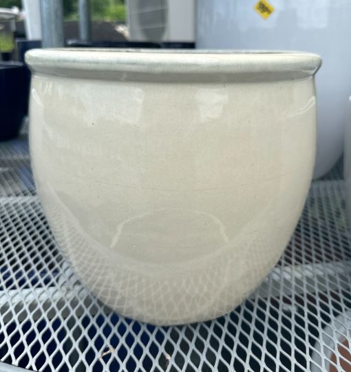 Belly Pot Planters, Variety: Beige Small - 11.75 x 9.75