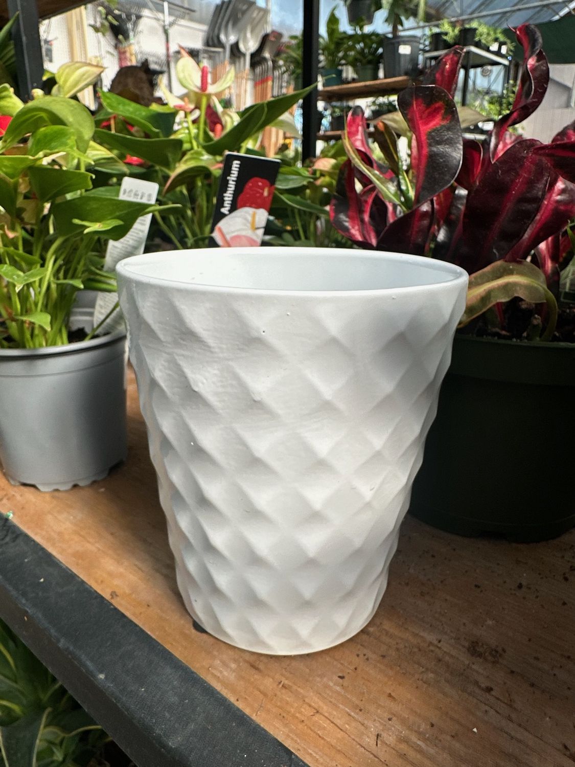 Orchid Pot White