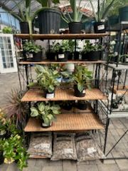 Wicker &amp; Metal Plant Shelf