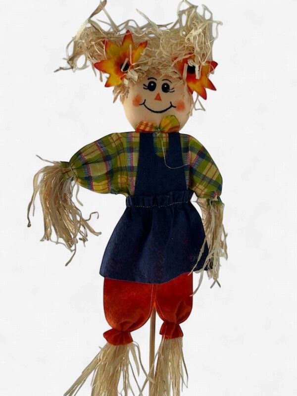 Scarecrow Stakes - Medium, Variety: Scarecrow Girl