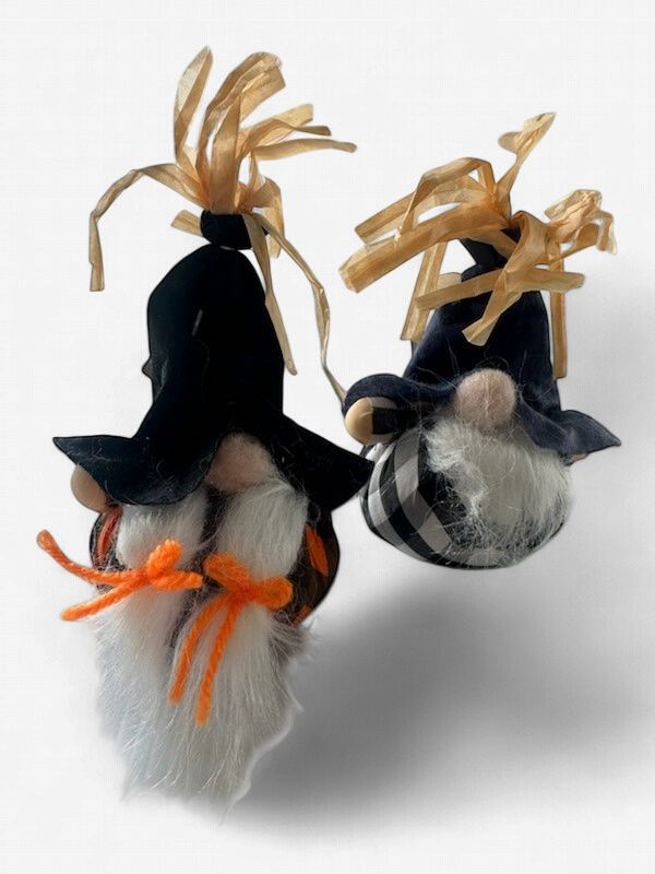 Gnome Minis
