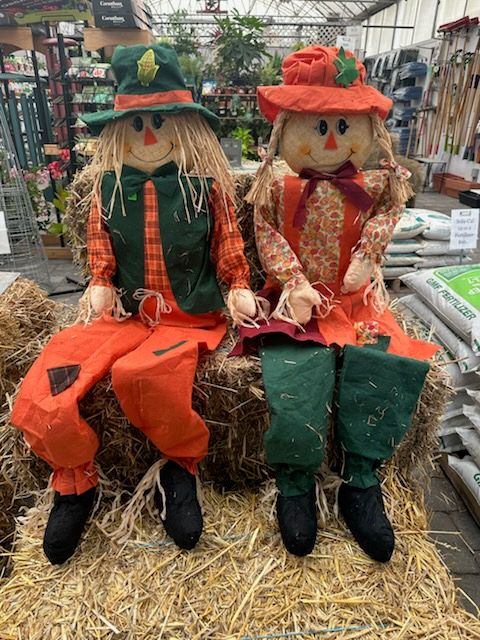 Sitting Scarecrows