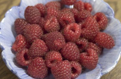 Raspberry Shrubs Heritage