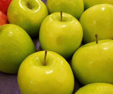 Apple Trees Granny Smith