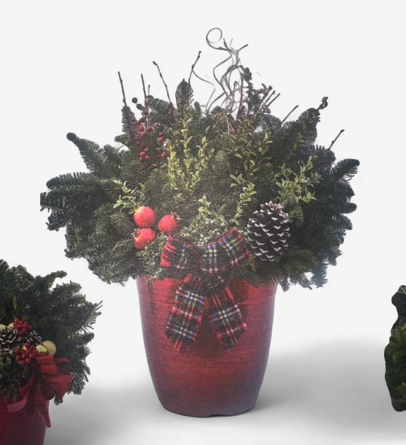 Delilah Holiday Planter