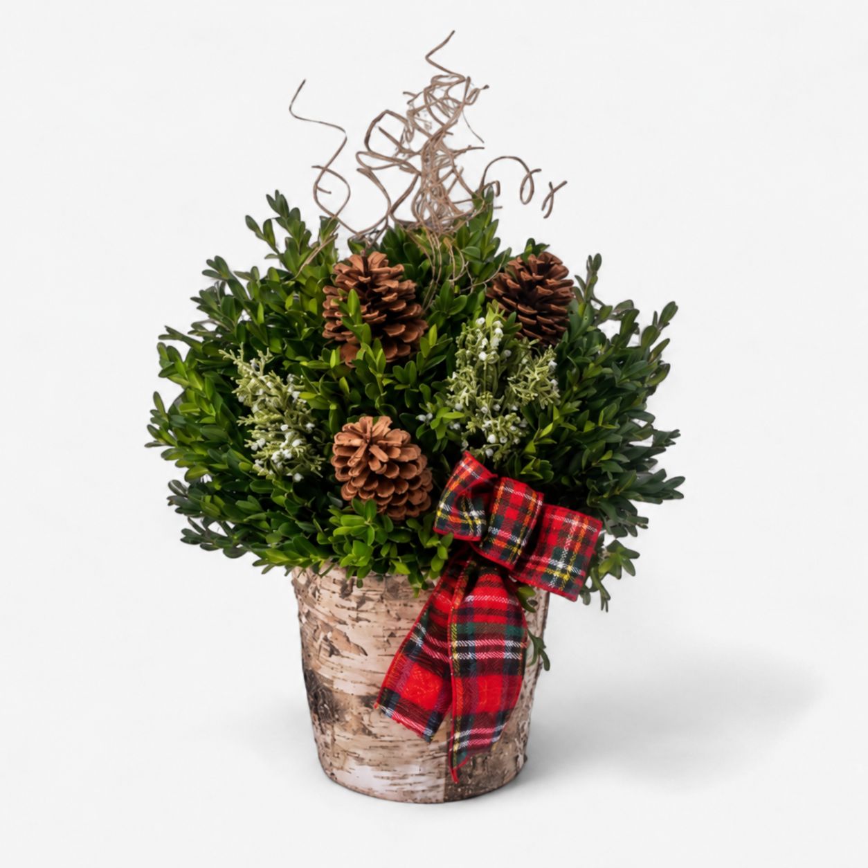 Birch Accent Holiday Planter