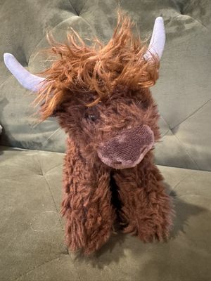 Chocolate Highland Cow