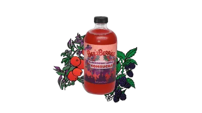 Kombucha - Blackberry Apple