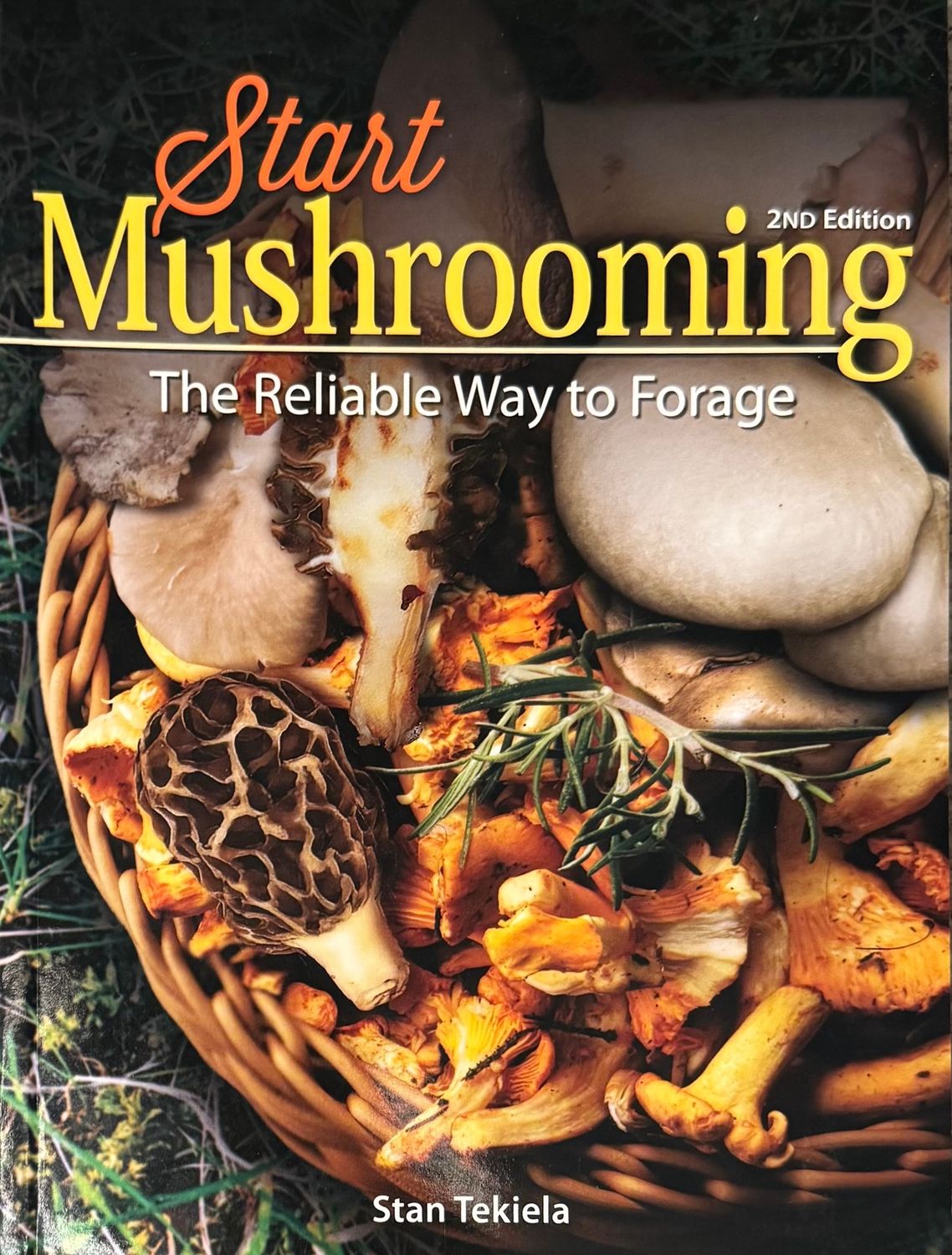 Start Mushrooming