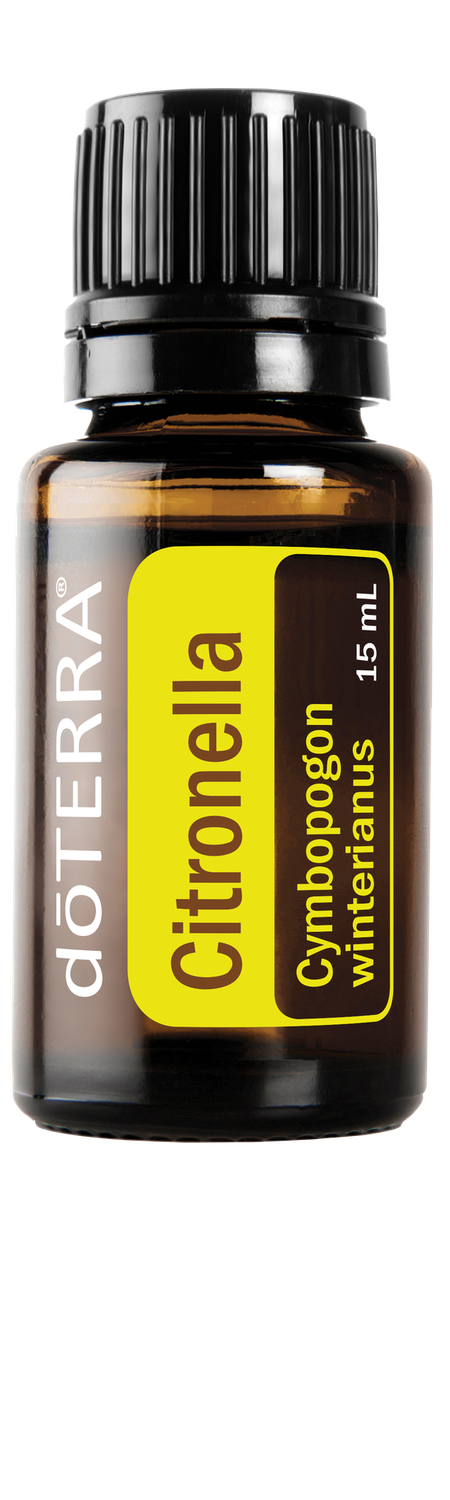 Citronella
