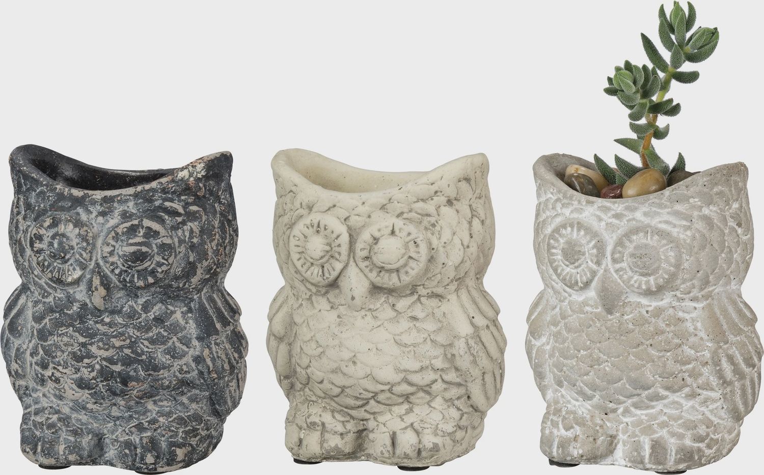 Cement Owl Planter Set