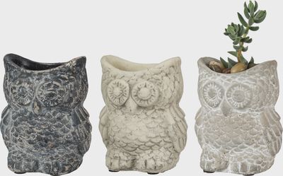 Cement Owl Planter Set