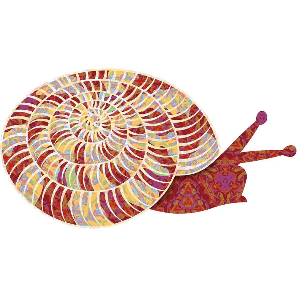 Snazzy Snail