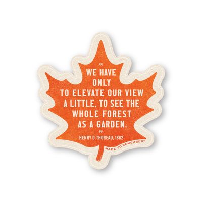 Thoreau Forest Quote