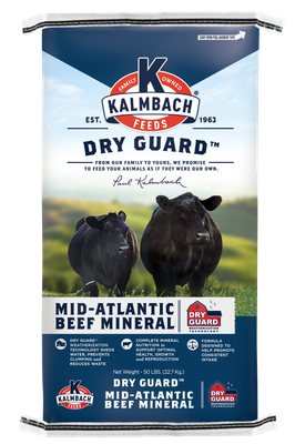 Dry Guard Hi Mag Beef Mineral