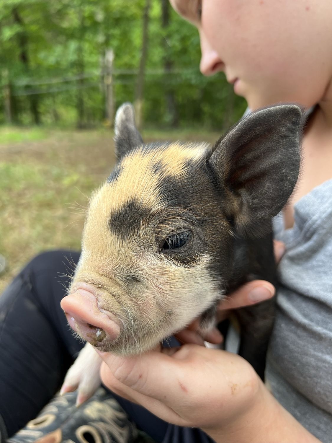 Farm Tour, Size: 0-4 People