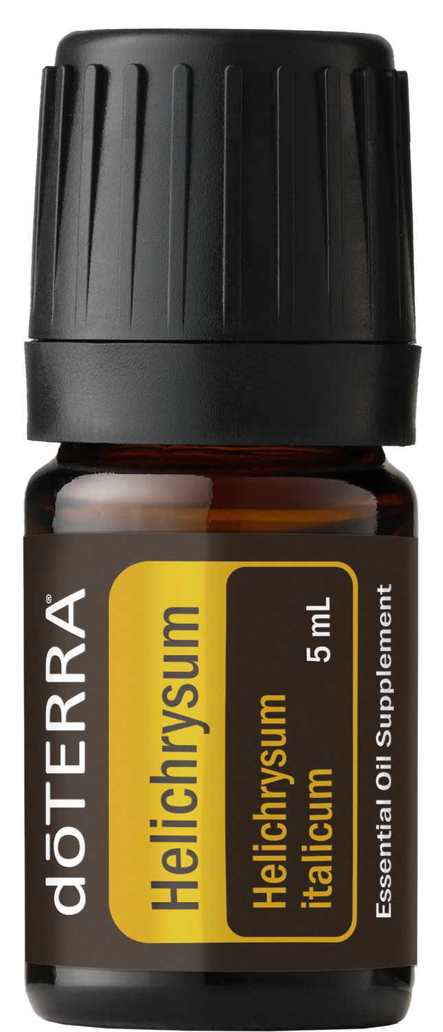 Helichrysum