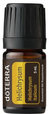 Helichrysum