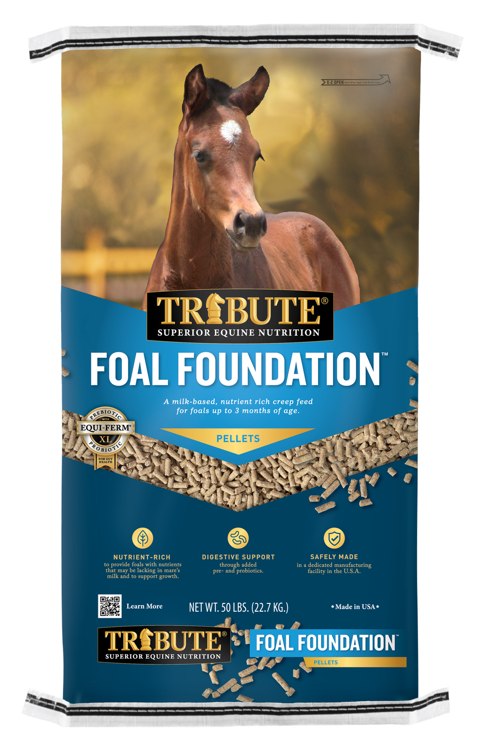 Foal Foundation