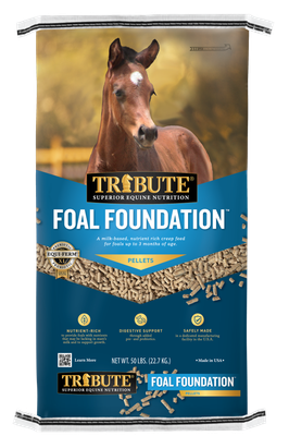 Foal Foundation