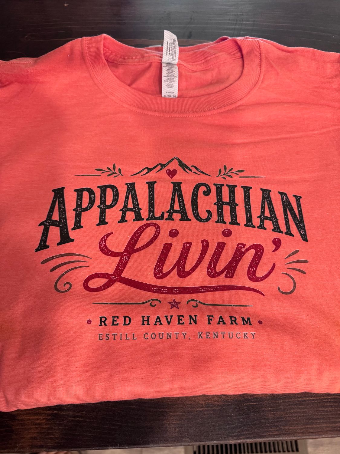 Appalachian Livin T-shirt