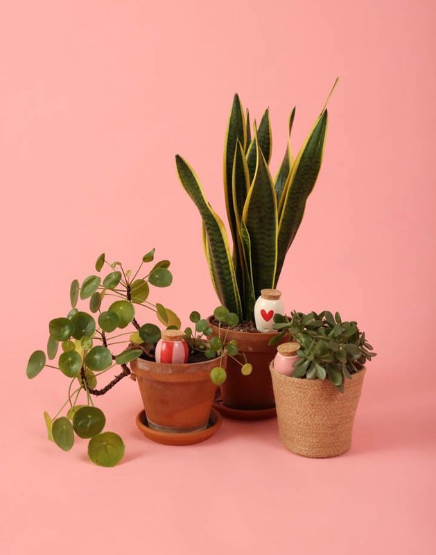 Nature &amp; Craft