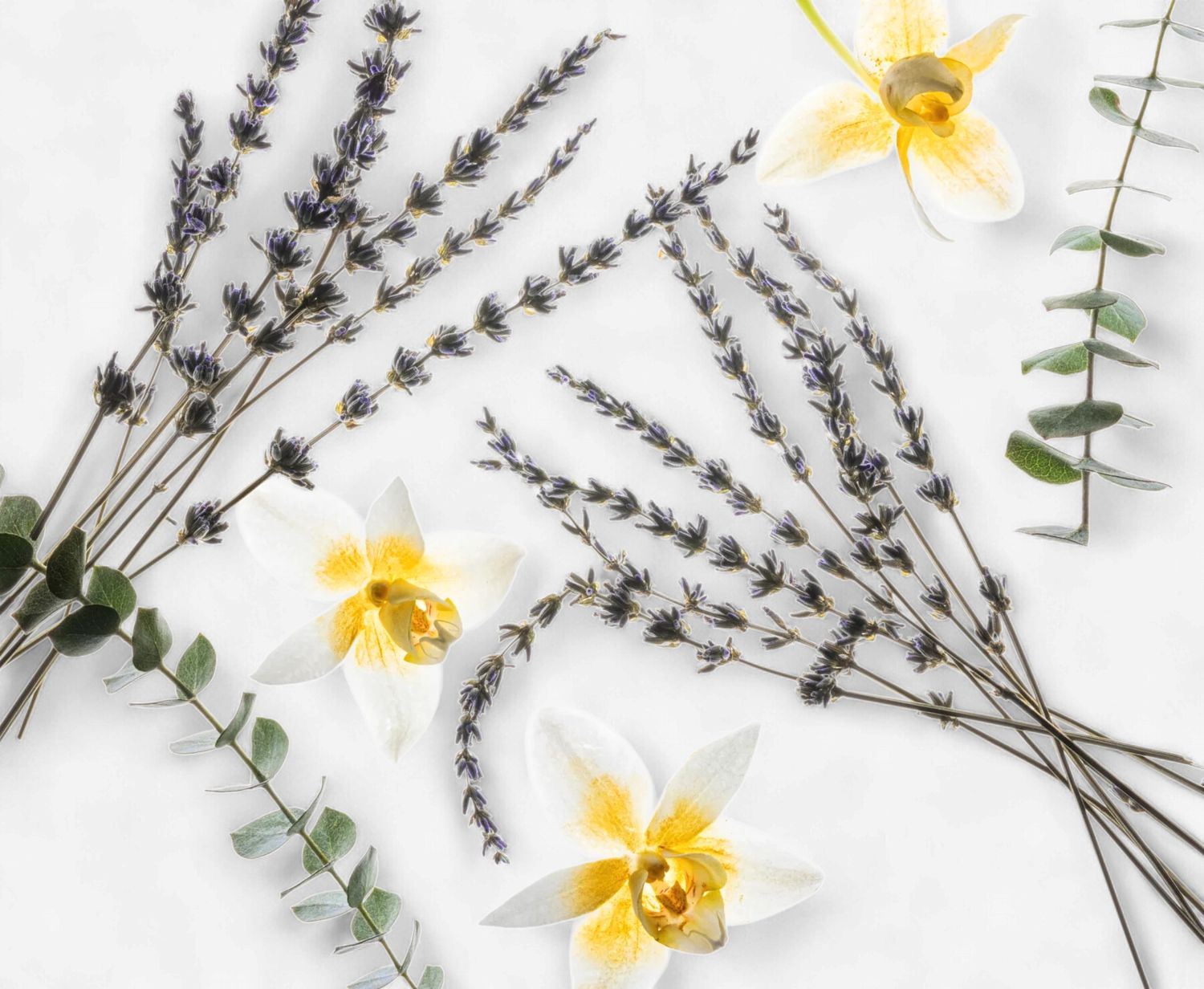 Pure Lavender- Hand Sanitizer