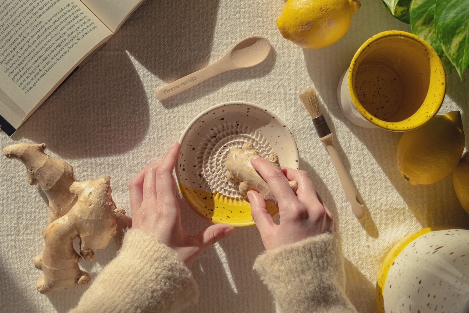 Ginger Lemon Infusion