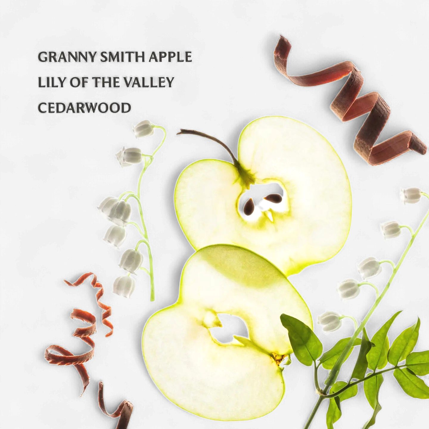 Applelicious- Hand Sanitizer