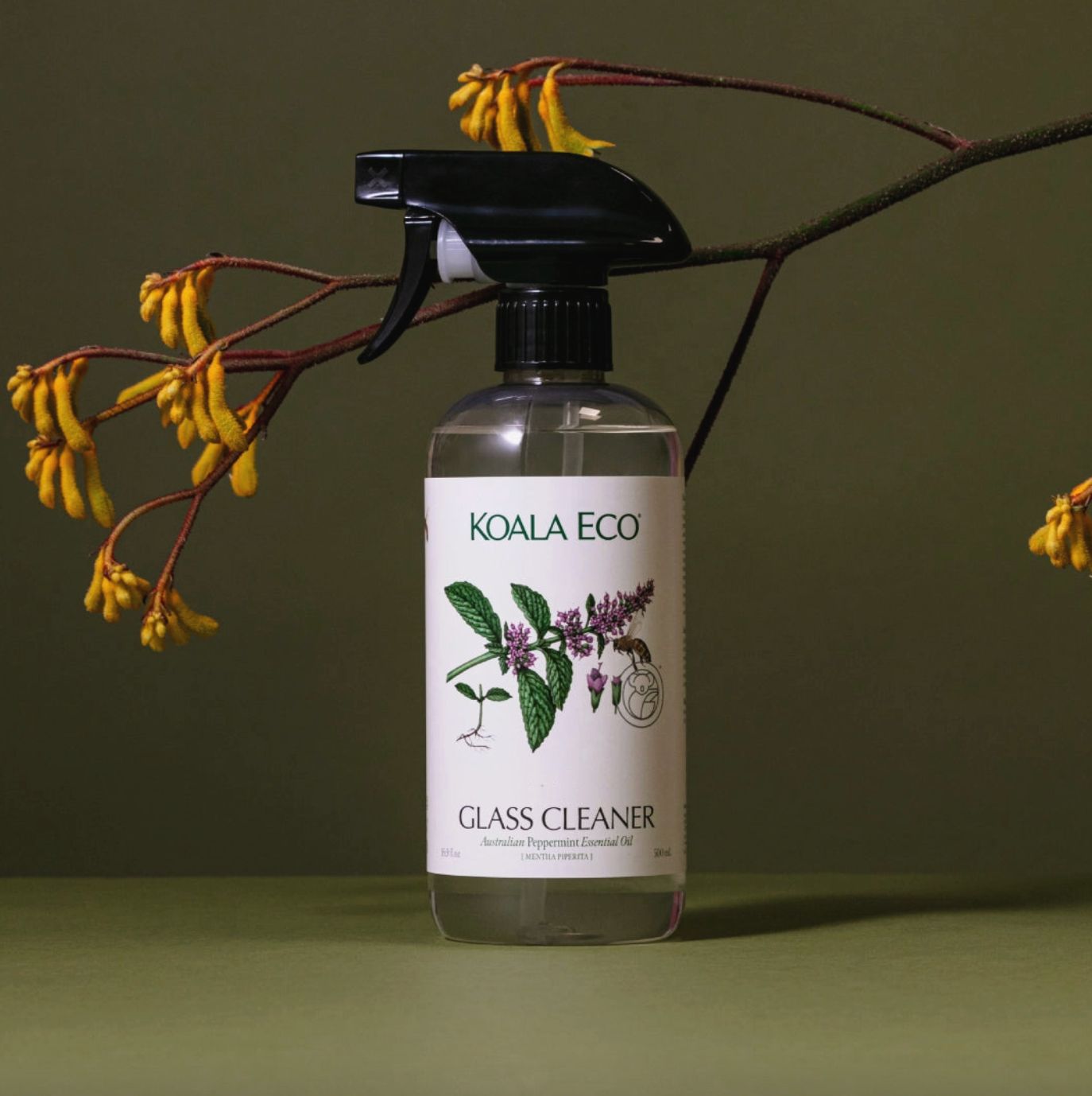 Peppermint Glass Cleaner