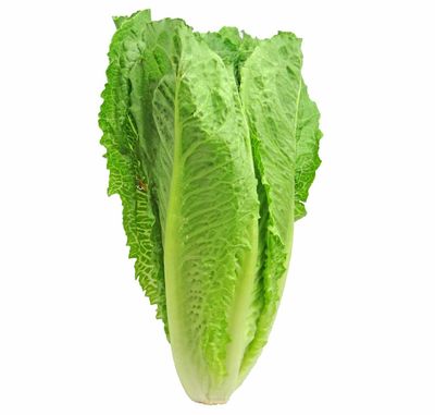 Romaine Lettuce (head)