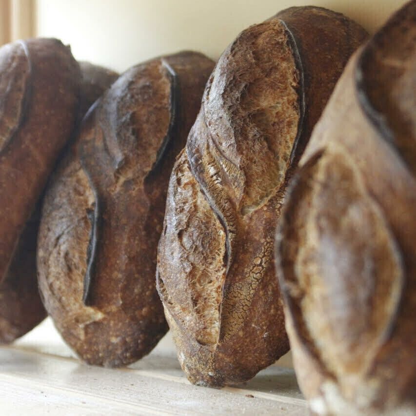 Sourdough Batard (frozen)