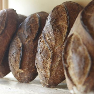 Sourdough Batard (frozen)