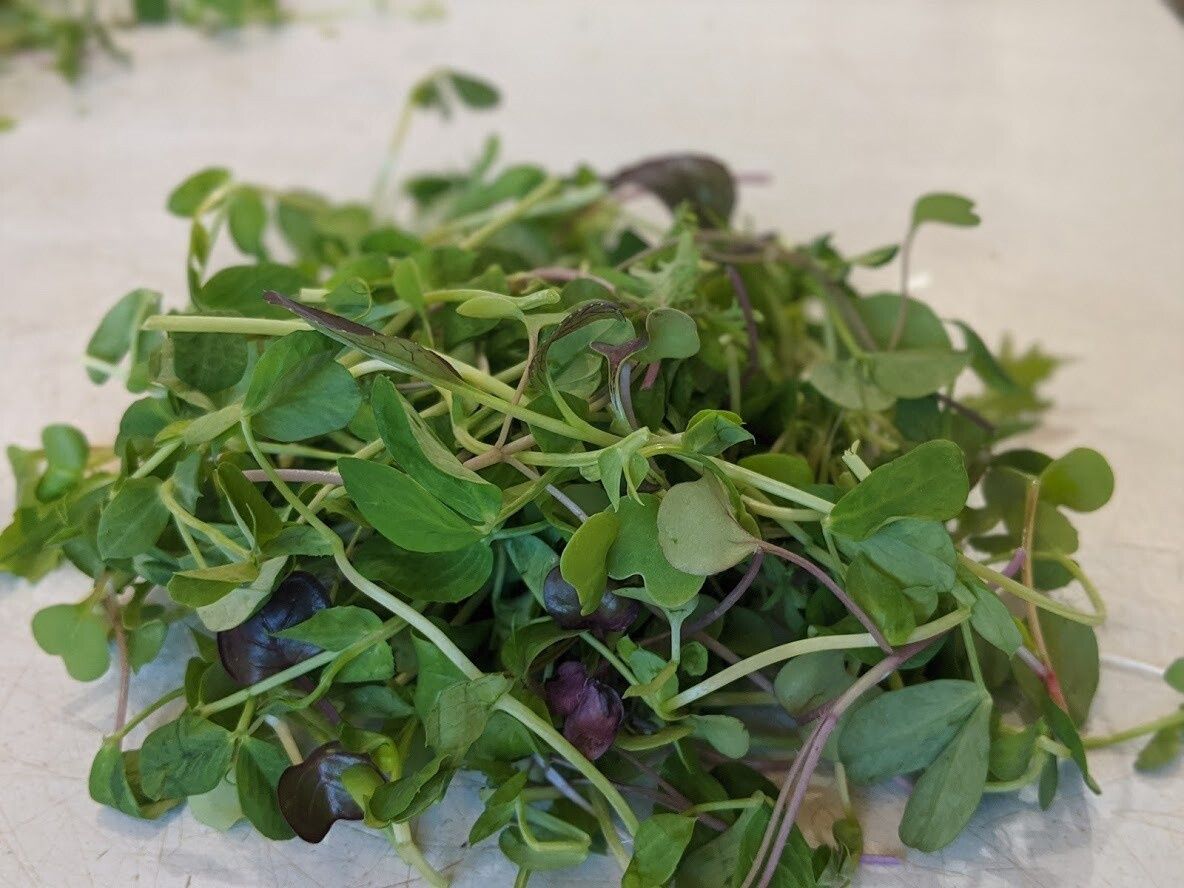 Petite Salad Mix